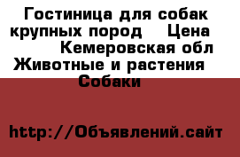 Гостиница для собак крупных пород. › Цена ­ 1 000 - Кемеровская обл. Животные и растения » Собаки   